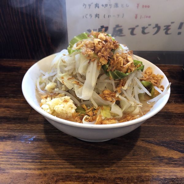 「【限定】塩ラーメン（小盛）」@麺屋 鳳の写真