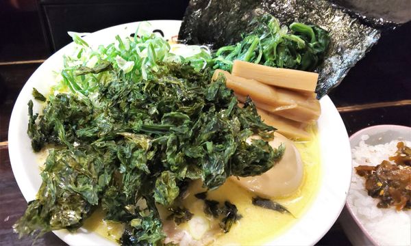 「いのこラーメン塩を並盛、中太麺で。ライス中。」@麺処いのこ 赤塚店の写真