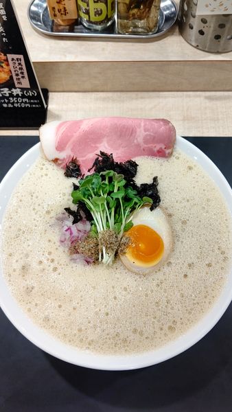「鶏白湯泡ramen〜煮干し〜　1100円」@鶏白湯泡ramenたまきの写真