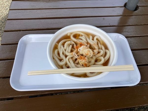 「ネギうどん ¥310」@ざくろ庵の写真