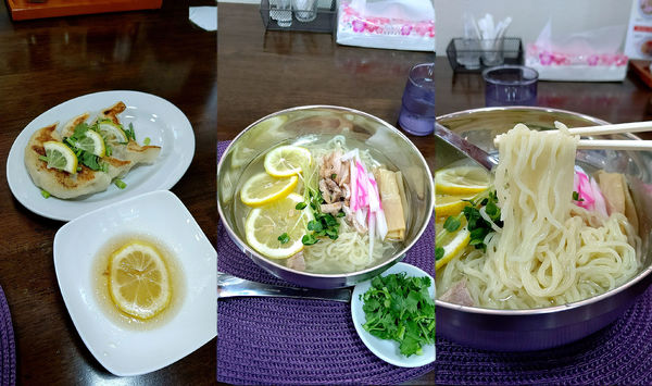 「夏季限定『冷たいレモンラーメン+パクチートッピ+レモン餃子』」@青竹手打ち麺 藤谷の写真