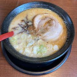 とんこつラーメン　650円　+ぎょうざ　300円