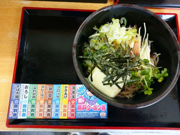 「夏の冷やしそば（580円）」@ゆで太郎 南大井店の写真