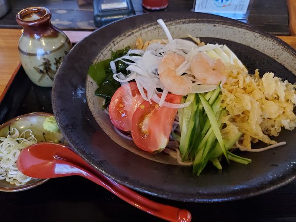 「冷やしそば・並」@味奈登庵 本牧店の写真