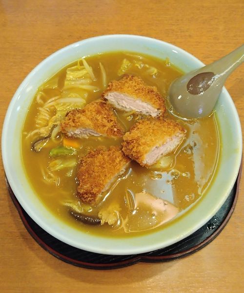 「(裏) カレーラーメンヒレカツ乗せ 1000円」@ほていやの写真