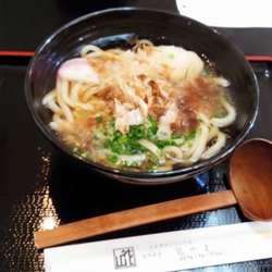 花かつおみぞれうどん