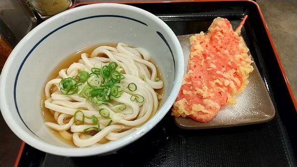 「ぶっかけ並（３３０円）＋紅生姜天（１５０円）」@おにやんま 東品川店の写真