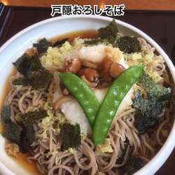 戸隠おろしそば