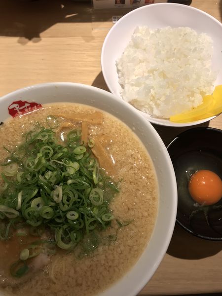 「ラーメン、背脂多め、並ライス、生卵」@京都銀閣寺 ますたにラーメン 日本橋本店の写真