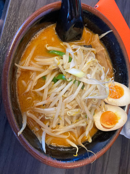 「味噌おろちょん味玉」@北海道ラーメン はせ川の写真