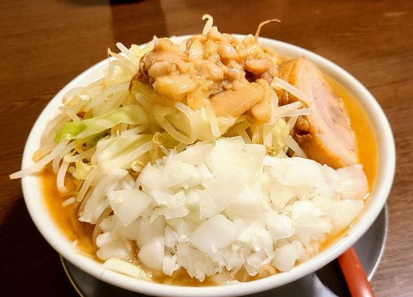 「味噌らーめん(大)」@ラーメン ヒカリの写真