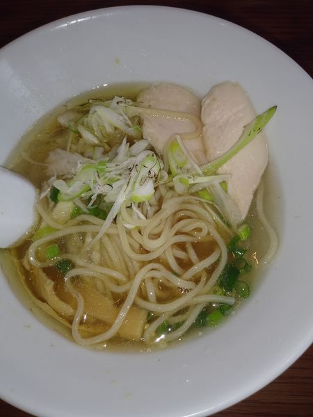 「鴨と魚介の二層式(冷やし)」@麺堂 稲葉の写真