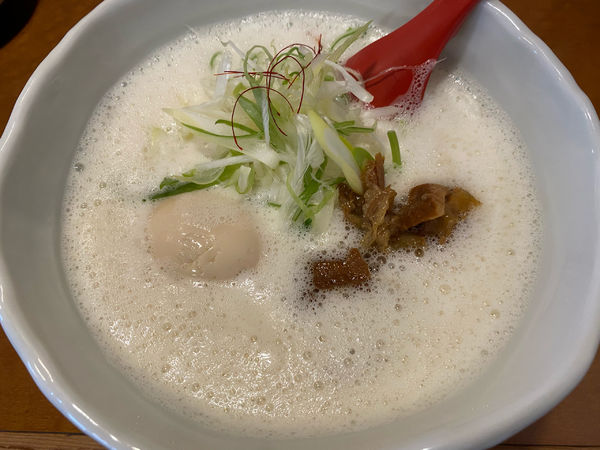 「濃厚鶏らーめん」@麺屋よつ葉の写真