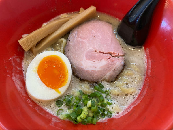 「とろとろ塩らーめん」@おいらのらーめん ピノキオの写真