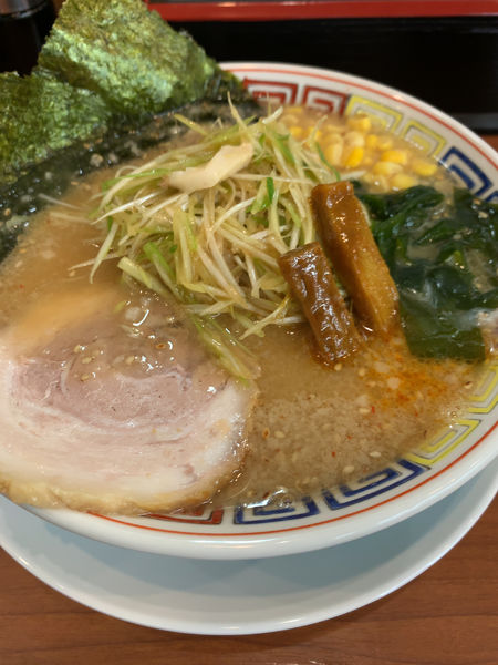 「味噌ネギラーメン」@拉麺山月の写真