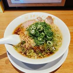 熟成醤油京都ラーメン（細麺・麺カタメ・ネギ多め・油普通）