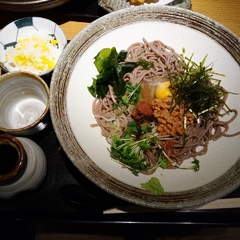 蕎麦ダイニング尚禅の画像