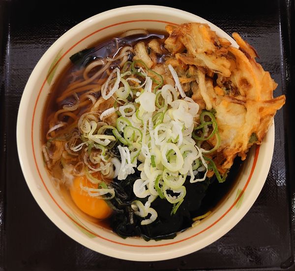 「天ぷら玉子そば(480円)」@狭山そば 所沢店の写真