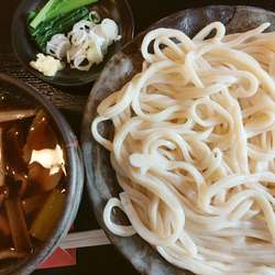 肉汁うどん