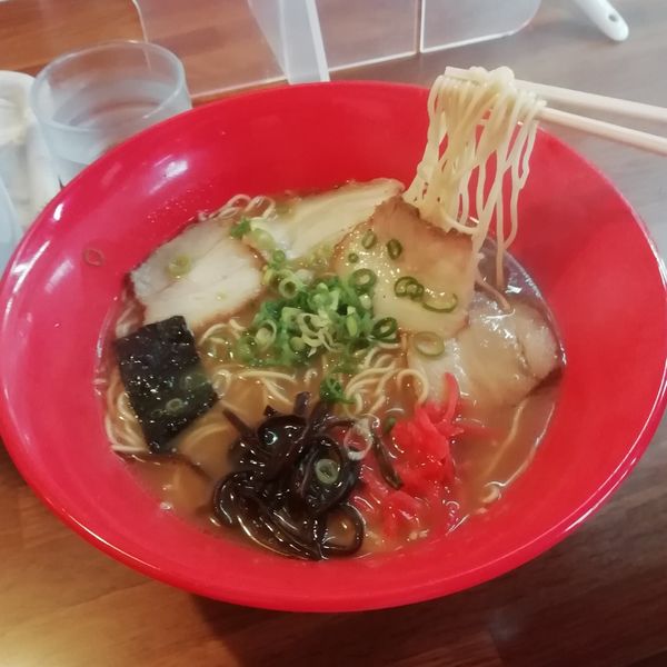 「ラーメン（600円）」@東洋軒 春町店の写真