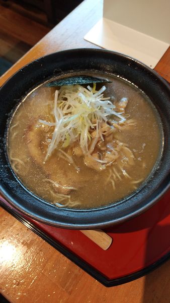 「煮干しだし中華そば(極細麺)」@中華そば くりの木 北本店の写真