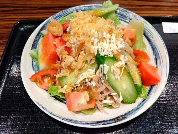 「ぶっかけサラダ(冷・並盛)680円」@そば三昧 高崎店の写真