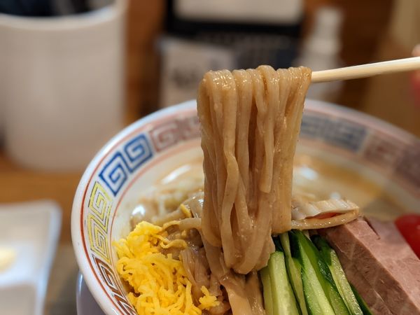 「限定冷やし中華胡麻」@中華そば 桐麺 総本店の写真