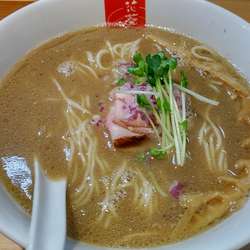 濃厚煮干しそば800円