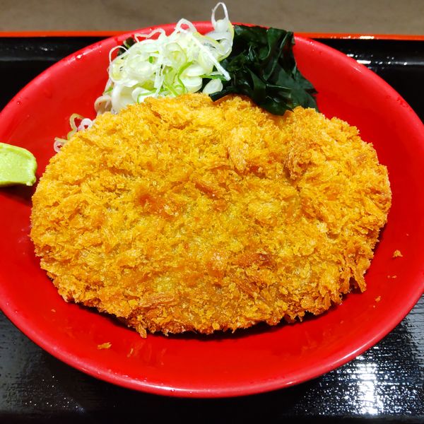 「【期間限定】冷しカレーコロッケのおそば（￥500）」@名代 富士そば 川崎西口店の写真