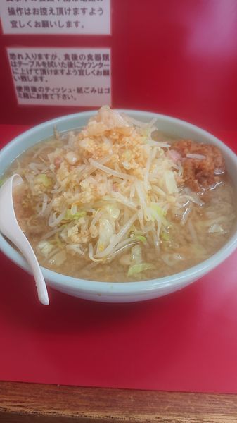 「男盛り  野菜以外マシマシ」@ラーメン二郎 京急川崎店の写真