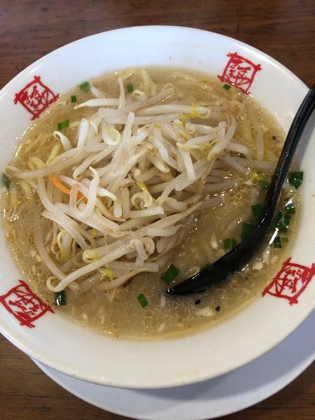 「塩ラーメン」@おおぎやラーメン 伊那店の写真