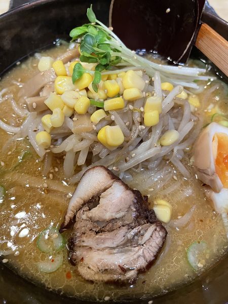「味噌もやしラーメン　730円」@らーめん 童童の写真