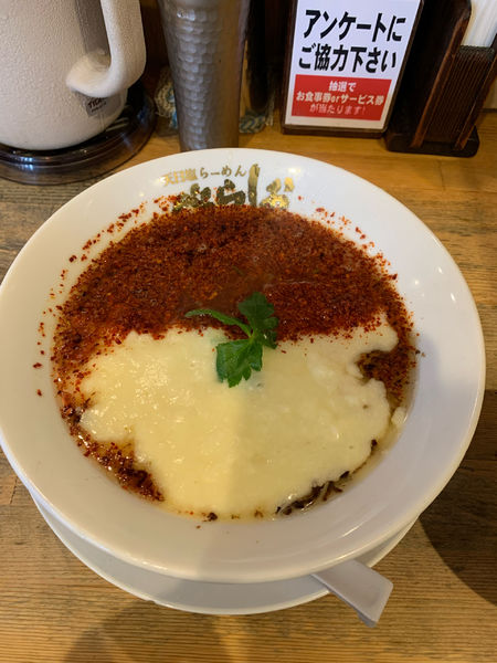 「2色の鷄の塩そば」@天日塩らーめん べらしお 中百舌鳥店の写真