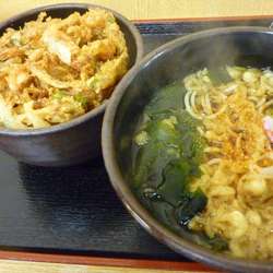 ミニかき揚げ丼セット