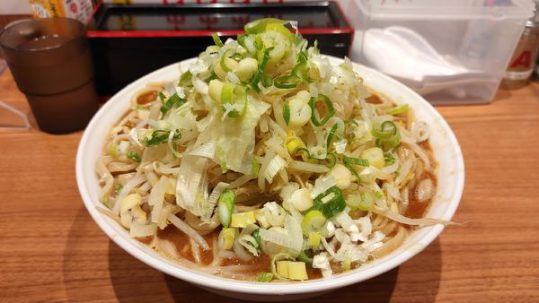 「らーめん豚なし・麺特盛券・節券（ネギマシマシ）￥１０５０」@ちばから 蒲田店の写真