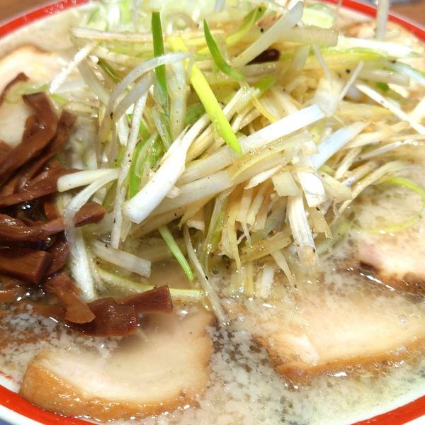 「肉そば追加ネギコッテリ硬め」@田中そば店 蒲田店の写真