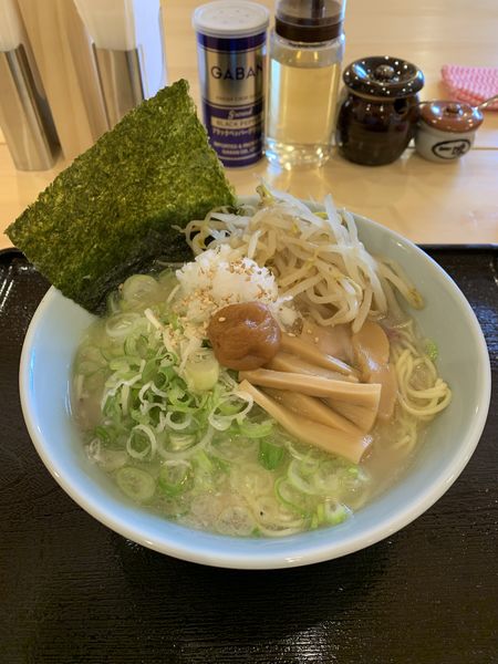 「朝限定!した勢中華そば塩500円 ネギ110円」@中華そば・つけそば  した勢の写真