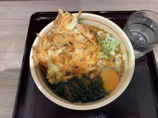 「天ぷら玉子そば 480円」@狭山そば 所沢店の写真