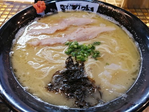 「鶏白湯(900円)」@町田汁場 しおらーめん進化 中山店の写真