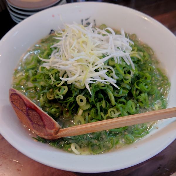 「ネギネギラーメン（こくまろ入り）880円」@たい風 本店の写真