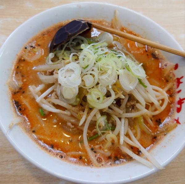 「担々麺800円」@らーめん やちの写真