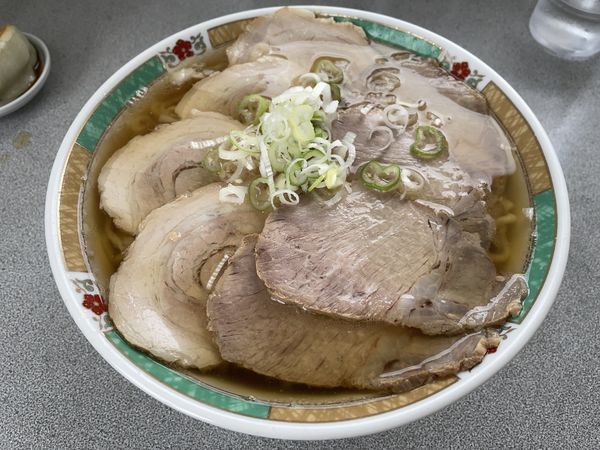 「ハーフ＆ハーフ（大盛）・餃子」@佐野らーめん 麺龍の写真