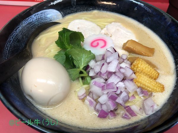 「濃厚鶏白湯ラーメン(750円)」@鶏PAITAN定食の写真