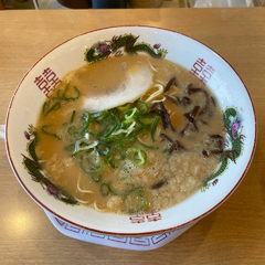 博多金龍 金の隈店の画像