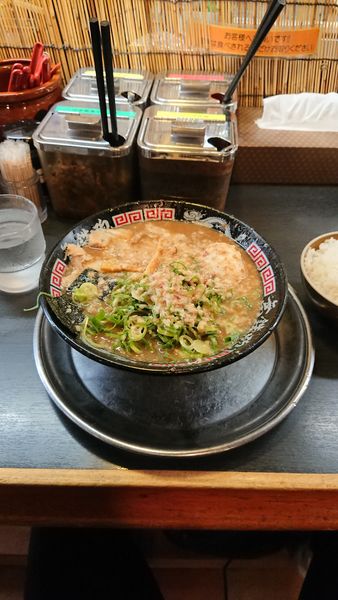 「とんこつラーメン半熟味玉つき+ライス」@無鉄砲 東京中野店の写真