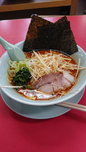 「辛味噌ラーメン+味付け白髪ネギ」@山岡家 越谷レイクタウン店の写真