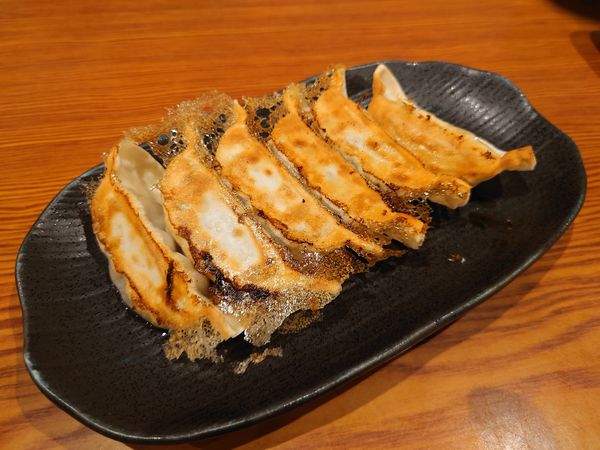 「餃子440円」@和歌山ラーメン 八両 千畳敷店の写真