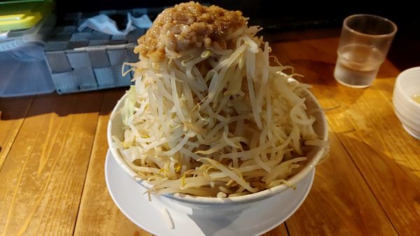 「ラーメン小野菜ダブル」@ラーメン豚珍の写真