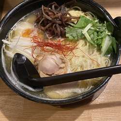 鶏白湯　大盛り