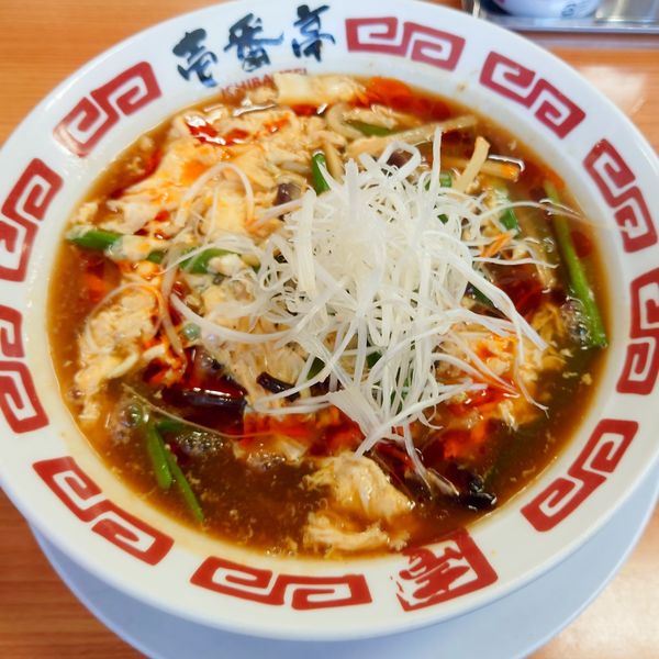 「酸辣湯麺（サンラータンメン）880円」@ラーメン屋 壱番亭 関宿店の写真